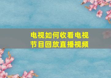 电视如何收看电视节目回放直播视频