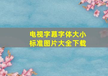 电视字幕字体大小标准图片大全下载