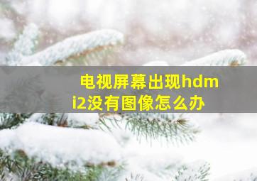 电视屏幕出现hdmi2没有图像怎么办