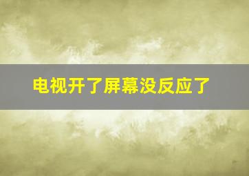 电视开了屏幕没反应了