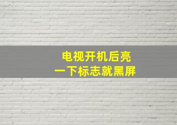 电视开机后亮一下标志就黑屏