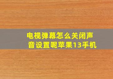 电视弹幕怎么关闭声音设置呢苹果13手机