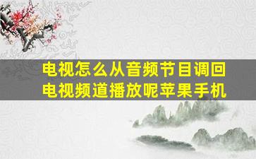 电视怎么从音频节目调回电视频道播放呢苹果手机