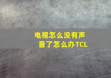 电视怎么没有声音了怎么办TCL