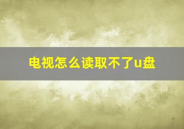 电视怎么读取不了u盘