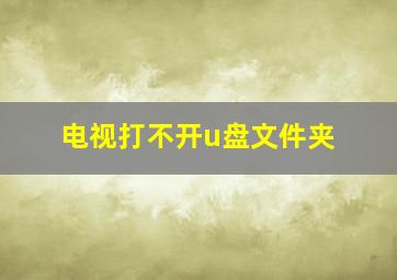 电视打不开u盘文件夹