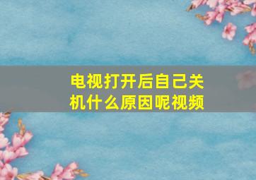 电视打开后自己关机什么原因呢视频