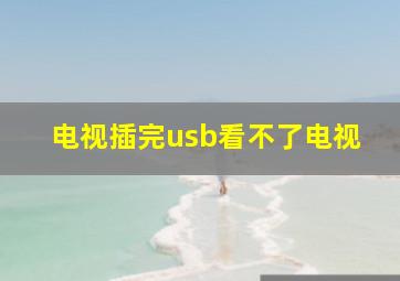 电视插完usb看不了电视