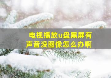 电视播放u盘黑屏有声音没图像怎么办啊