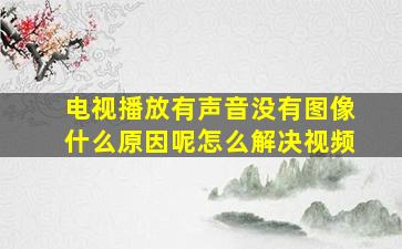 电视播放有声音没有图像什么原因呢怎么解决视频