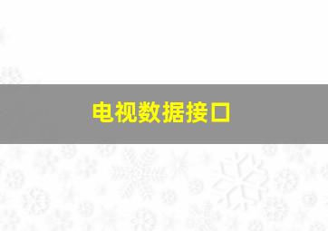 电视数据接口