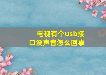 电视有个usb接口没声音怎么回事