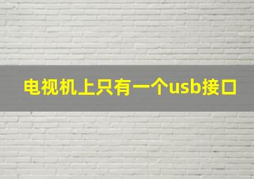 电视机上只有一个usb接口