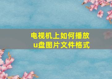 电视机上如何播放u盘图片文件格式