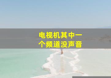 电视机其中一个频道没声音