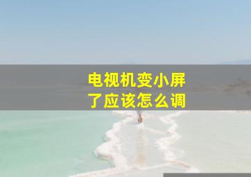 电视机变小屏了应该怎么调