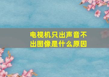 电视机只出声音不出图像是什么原因