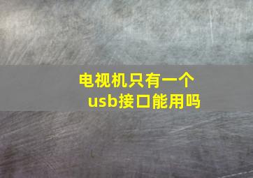 电视机只有一个usb接口能用吗