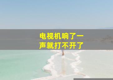 电视机响了一声就打不开了