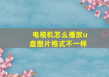 电视机怎么播放u盘图片格式不一样