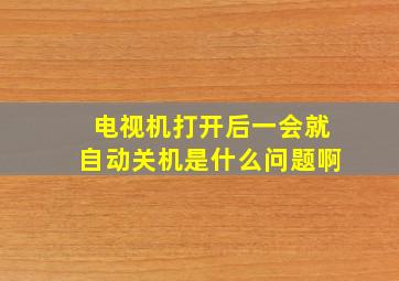 电视机打开后一会就自动关机是什么问题啊