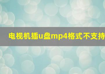 电视机插u盘mp4格式不支持