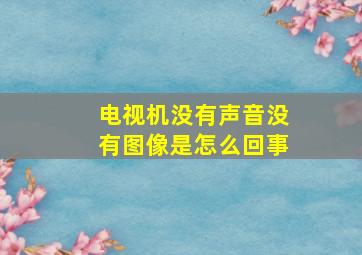 电视机没有声音没有图像是怎么回事