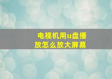 电视机用u盘播放怎么放大屏幕