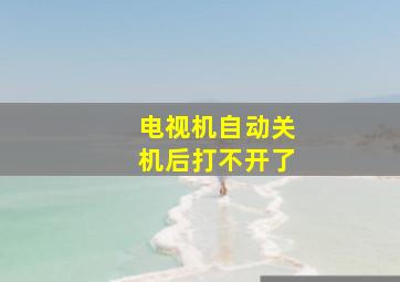 电视机自动关机后打不开了