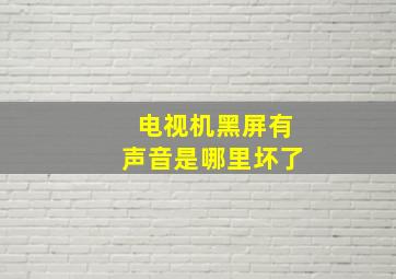 电视机黑屏有声音是哪里坏了