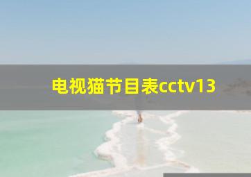 电视猫节目表cctv13