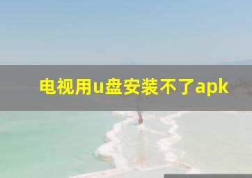 电视用u盘安装不了apk