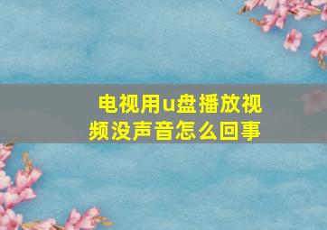 电视用u盘播放视频没声音怎么回事