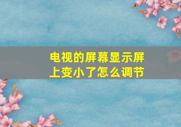 电视的屏幕显示屏上变小了怎么调节