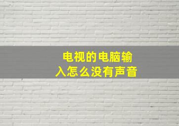 电视的电脑输入怎么没有声音