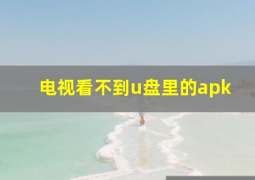 电视看不到u盘里的apk