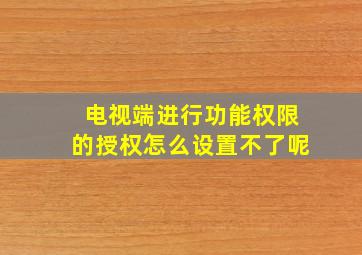 电视端进行功能权限的授权怎么设置不了呢