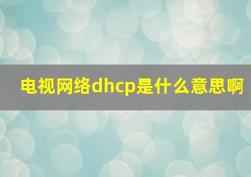 电视网络dhcp是什么意思啊