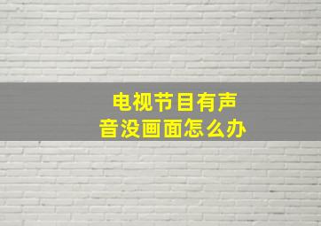 电视节目有声音没画面怎么办