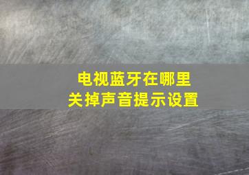 电视蓝牙在哪里关掉声音提示设置