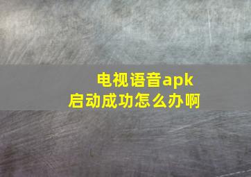 电视语音apk启动成功怎么办啊