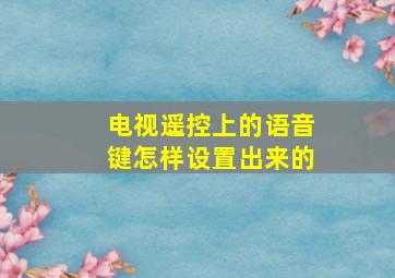 电视遥控上的语音键怎样设置出来的