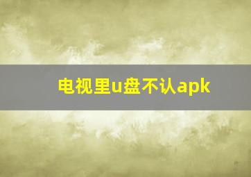 电视里u盘不认apk