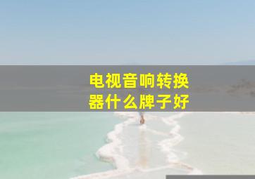 电视音响转换器什么牌子好