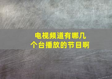 电视频道有哪几个台播放的节目啊