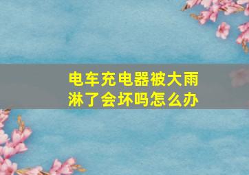 电车充电器被大雨淋了会坏吗怎么办