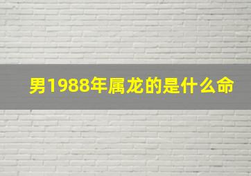 男1988年属龙的是什么命