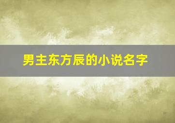 男主东方辰的小说名字