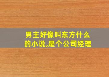 男主好像叫东方什么的小说,是个公司经理