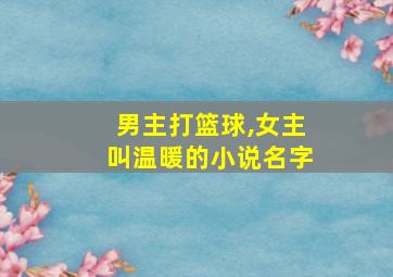 男主打篮球,女主叫温暖的小说名字